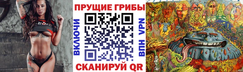 Купить  Ессентуки  Псилоцибиновые грибы прущие грибы 